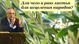 Билли Страйкен. Для чего в раю листья для исцеления народов?