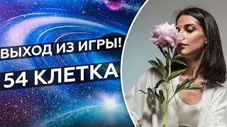 Что важно в жизни для счастья, и внутренней целостности // 54 клетка игры Лила