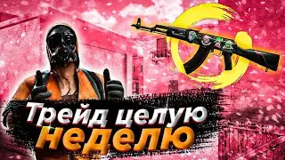 🤯 ТРЕЙД ЦЕЛУЮ НЕДЕЛЮ на АКР КАРБОН СТАТРЕК 🤯 ТРЕЙД на СКИНАХ с НАКЛЕЙКАМИ