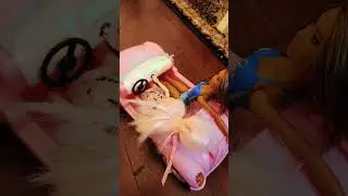 no eating snacks ok! #shorts #doll #funny  #playing  #food