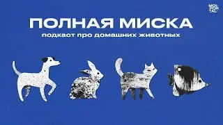 Полная миска | Няня для собаки