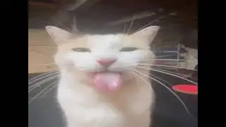 this is no laughing matter