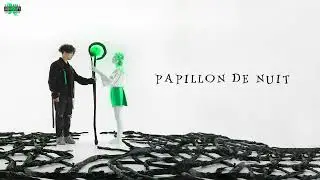 NAEKO - PAPILLON DE NUIT [Lyrics video]