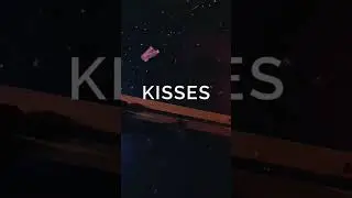 [FREE] PHARAOH type beat × SHILOH DYNASTY type beat - 