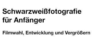 Schwarzweißfotografie für Anfänger