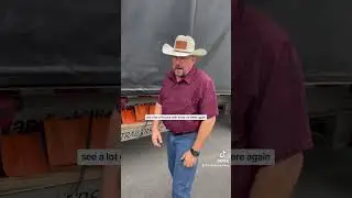 What's Up With Wayne: No Working Load Limit on a Bungee