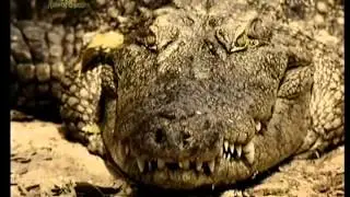 River Monsters сезон 1 часть 2