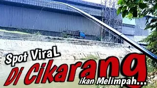SUMPAH...‼️ IKAN NYA BANYAK‼️ Mancing Di Spot Viral Kawasan Pabrik Di CIKARANG‼️