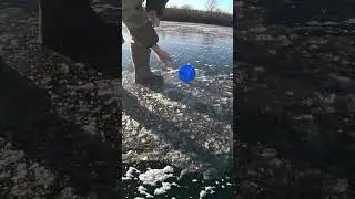 Ого какая большая рыба