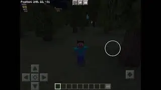 Minecraft in a Nutshell but I recreated it in Minecraft