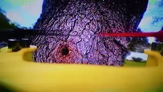 Micro Drone Bee Hive Exploration (Eachine QX90c) | True Edge FPV