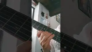 14 de julio de 2024