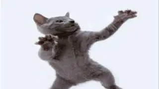 LITTLE BOOTS - REMEDY