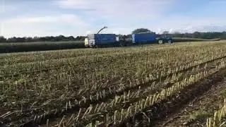 Maize Filmed Live Unedited gtritchie5