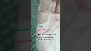 Какой у тебя будет брак, гадание по руке