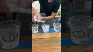 Don’t Pick The Wrong Cup!