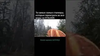 Новое оружие в STALKER2(прикол)
