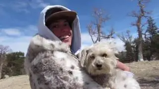 A Week In The Rockies