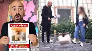 KAYIP KÖPEK İLANIYLA YALANCILARI YAKALADIM !
