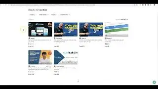 SyndBuddy Account Creation + Create Accounts for Profit?
