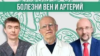 Как избежать заболеваний вен и артерий. Главный врач #24