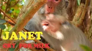 P:2 JANET ANGRY TILL CRY CUZ MOM JANE , JANE DOESN'T GIVE MILK FULL TO HER DAUGHTER JANET |