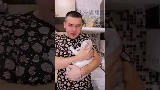 БЕЛКА ЧУТЬ НЕ ЗАМЕРЗЛА 