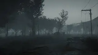 [5K] Fallout 4 2022 Ultra modded NAC X with a forest mod