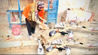 میں اور میرے پرندے 😍