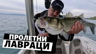 Със СКАРИДИ за ЛАВРАЦИ / Пролетта на лавраците - 2 част