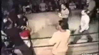 Best Referee Ever !
