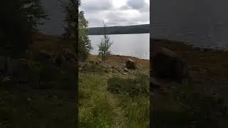 Всё зависит от людей вокруг. Как ни крути. #стихи
