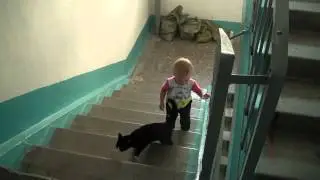 Доча тащит кошку