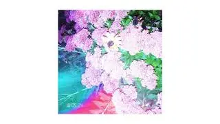 Necromoon- Casts and Flowers
