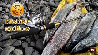 Fisher Online - Нидерланды # 17