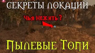 Секреты Пылевых топей // Плеть? Неправильный огр