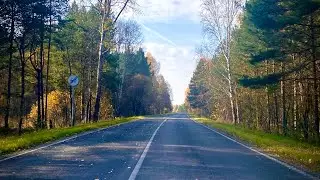 Настоящий отзыв о работе Компании Септиксиб.
