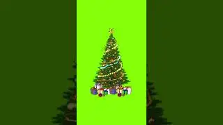 Christmas Ornament Green Screen Overlay 