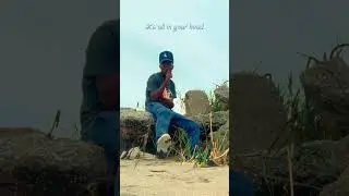 IT’S ALL IN YOUR HEAD