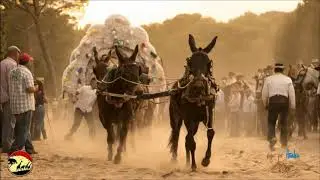 SEVILLANAS ROCIERAS COSITAS DEL ROCIÓ SEVILLANAS CAMINOS POR LA RAYA MEJORES OLEE ( Video Oficial )