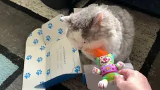 Elista & Ferdi - Big Hair Cat