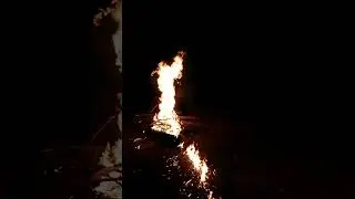 line of fire! satisfying!