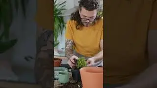 6 steps to transform old glass containers into planters.