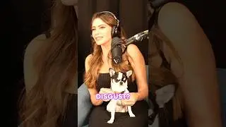 Sofia Vergara and Heidi Klum Are Disgusted By Howie Mandel | Howie Mandel Does Stuff