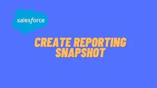 Salesforce: Reporting Snapshot Overview