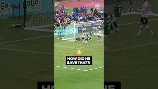 What a Save 👏 | 