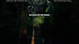 Movimientos cinematograficos con gimbal zhiyun weebill 3s
