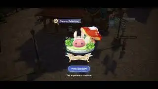 Prontera Poring Locations|Ragnarok Origin Global|Boost your zeny and get good rewards.