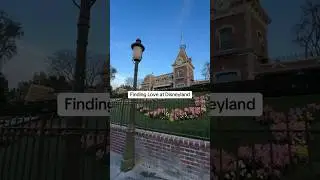 Finding Love at Disneyland #disneyland #disney #disneyshorts