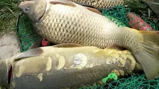Рыбалка Бешеный Клев не перестает меня отпускать #1
